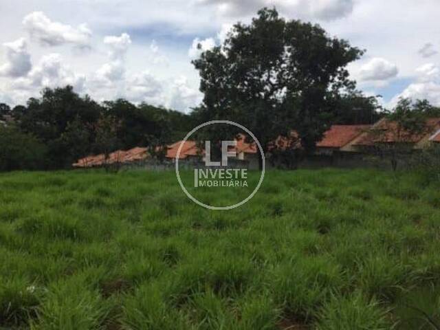 #49 - Área para Venda em Aparecida de Goiânia - GO - 1
