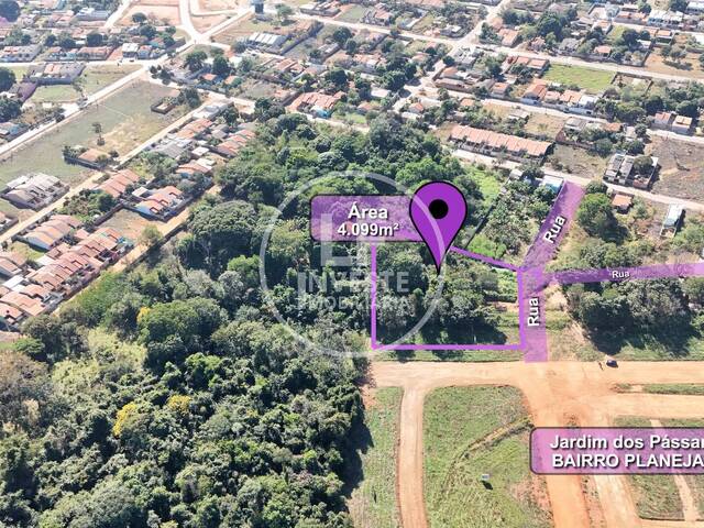 Área para Venda em Aparecida de Goiânia - 4